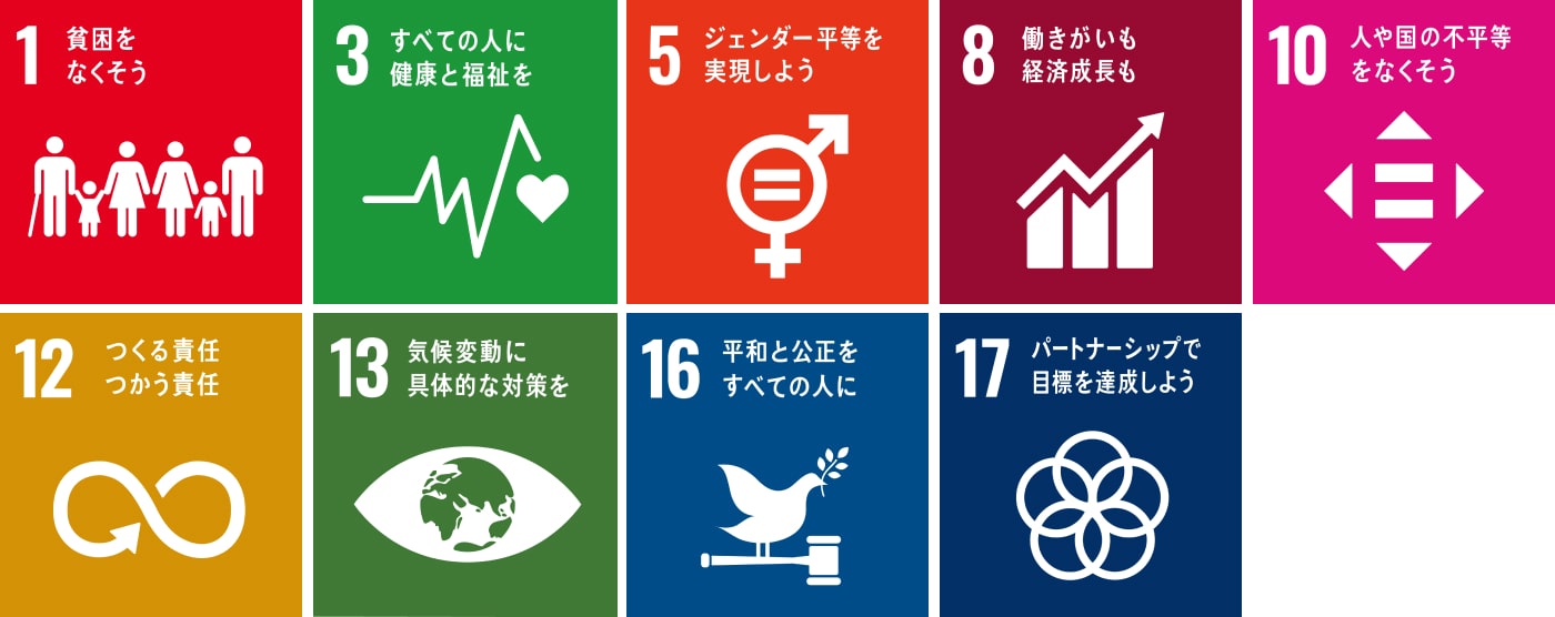 SDGs Icon